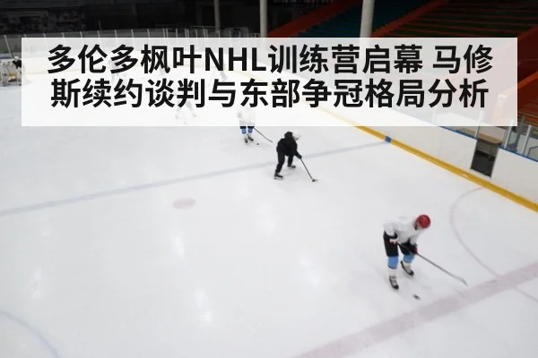 ice hockey training camp | kaiyun